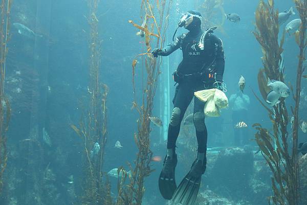 IMG_8994.JPG IMG_8994.JPG