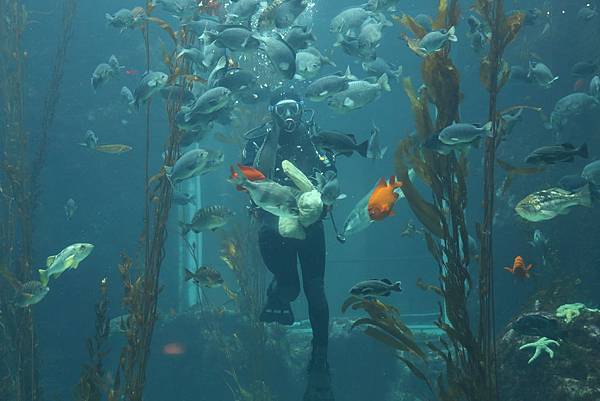 IMG_9004.JPG IMG_9004.JPG