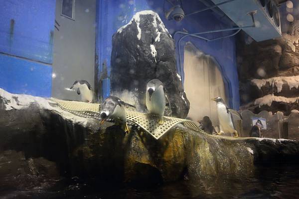 IMG_9041.JPG IMG_9041.JPG