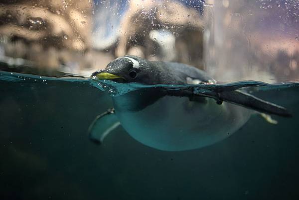 IMG_9047.JPG IMG_9047.JPG