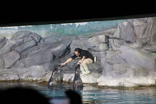 IMG_9067.JPG IMG_9067.JPG