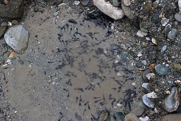 IMG_0607.jpg IMG_0607.jpg