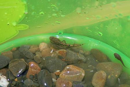 IMG_7287.jpg IMG_7287.jpg