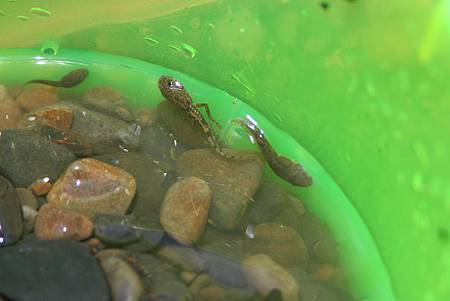 IMG_7289.jpg IMG_7289.jpg