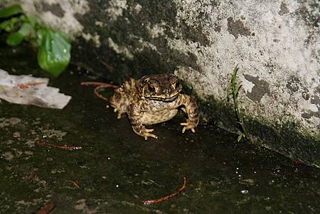 IMG_8724.jpg IMG_8724.jpg