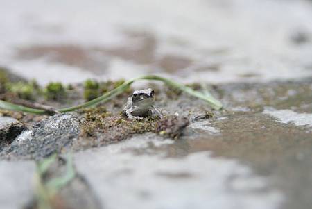 IMG_8358.jpg IMG_8358.jpg