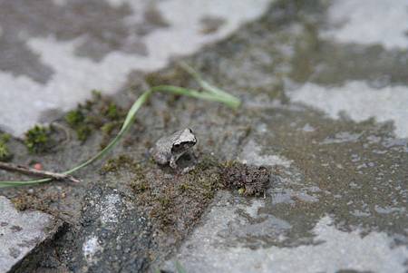 IMG_8360.jpg IMG_8360.jpg