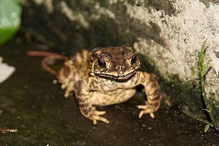 IMG_8728.jpg IMG_8728.jpg