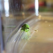 IMG_3408.jpg IMG_3408.jpg