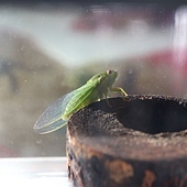 IMG_3411.jpg IMG_3411.jpg