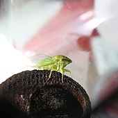 IMG_3426.jpg IMG_3426.jpg