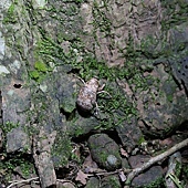 IMG_3438.jpg IMG_3438.jpg