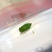 IMG_1947.jpg IMG_1947.jpg