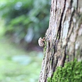 IMG_1963.jpg IMG_1963.jpg