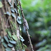 IMG_1966.jpg IMG_1966.jpg