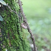 IMG_1967.jpg IMG_1967.jpg