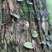 IMG_1964.jpg IMG_1964.jpg