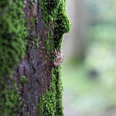 IMG_1977.jpg IMG_1977.jpg