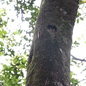 IMG_5142.jpg IMG_5142.jpg