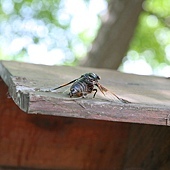 IMG_2369.jpg IMG_2369.jpg