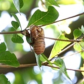 IMG_2373.jpg IMG_2373.jpg