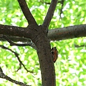 IMG_2433.jpg IMG_2433.jpg