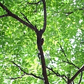 IMG_2432.jpg IMG_2432.jpg