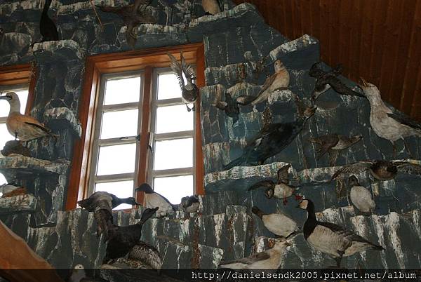 DSC_4432.JPG DSC_4432.JPG