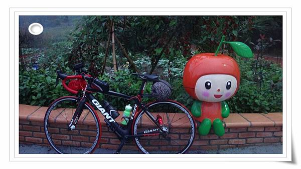 DSC00274.jpg DSC00274.jpg