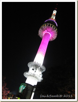 夜晚的首爾塔 IMG_0014