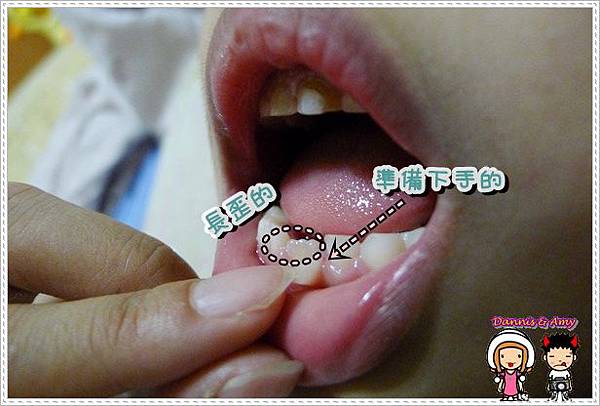 P1350035 P1350035