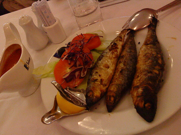 DSC09012.JPG