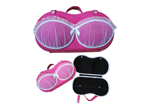 lingerie-care-tools-bra-bag