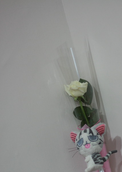 2010。七夕白玫瑰 2010。七夕白玫瑰