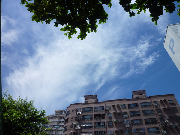 P1020738.JPG P1020738.JPG