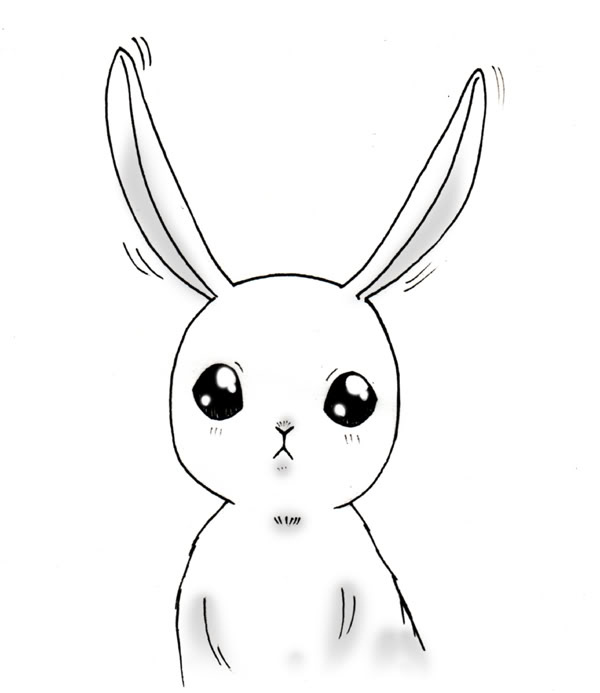 可怕滴兔子1.jpg
