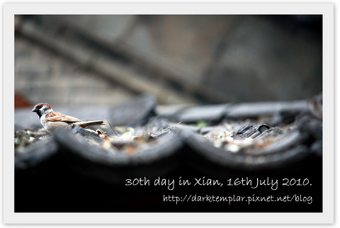1007 30th day in Xian.jpg 1007 30th day in Xian.jpg