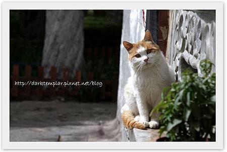 1105 Lhasa (5).jpg 1105 Lhasa (5).jpg