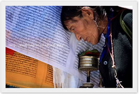 1105 Lhasa (8).jpg 1105 Lhasa (8).jpg