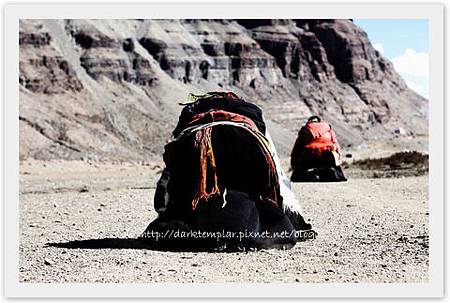 1105 Kora (2).jpg 1105 Kora (2).jpg