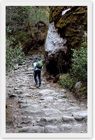 2014 Jhomolhari Trek 09 2014 Jhomolhari Trek 09