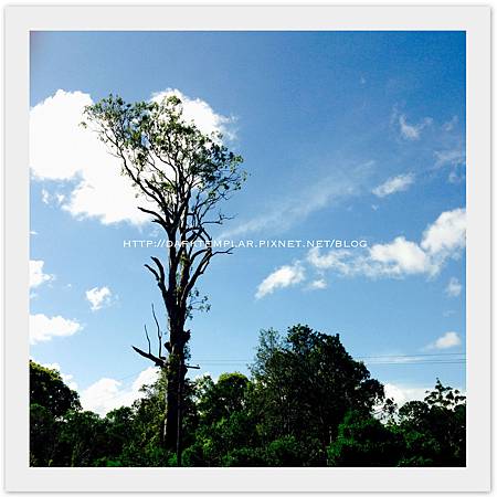 2015 Australia 04 2015 Australia 04