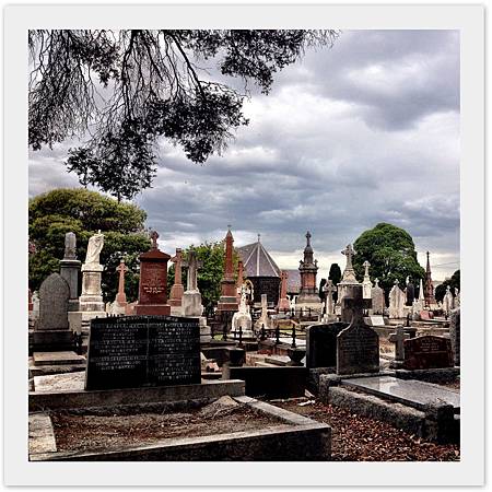 2015 Australia 08 2015 Australia 08