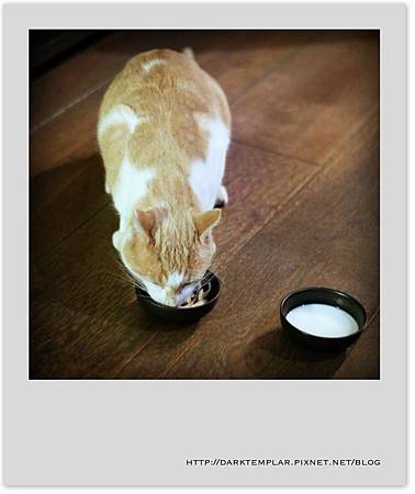 Milky 03 Milky 03