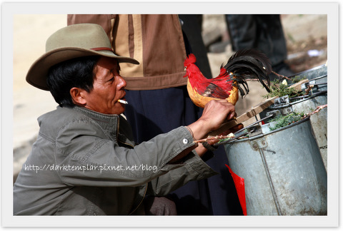 1008 Tibetan Wedding (2).jpg 1008 Tibetan Wedding (2).jpg