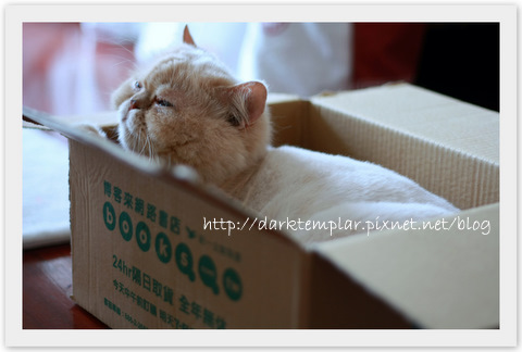100404 Yoda is a businessman (1).jpg 100404 Yoda is a businessman (1).jpg
