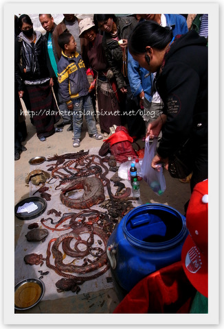 1008 Sichuan Litang (4).jpg 1008 Sichuan Litang (4).jpg