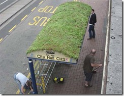 clip_image003 clip_image003