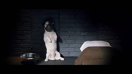5 5
