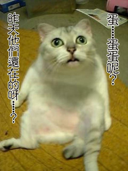 淡淡的哀傷.jpg 淡淡的哀傷.jpg